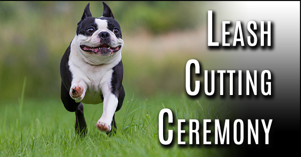 Leash Cutting 600x314