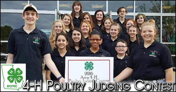 poultry 600x314 2b