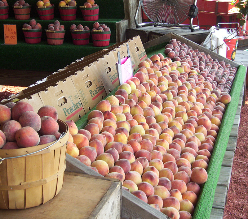 Peaches 800