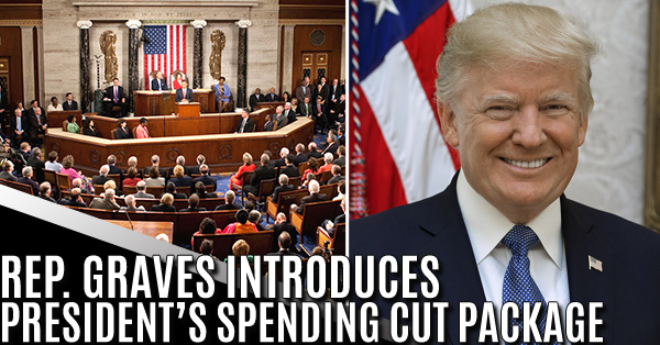 trump 600x314