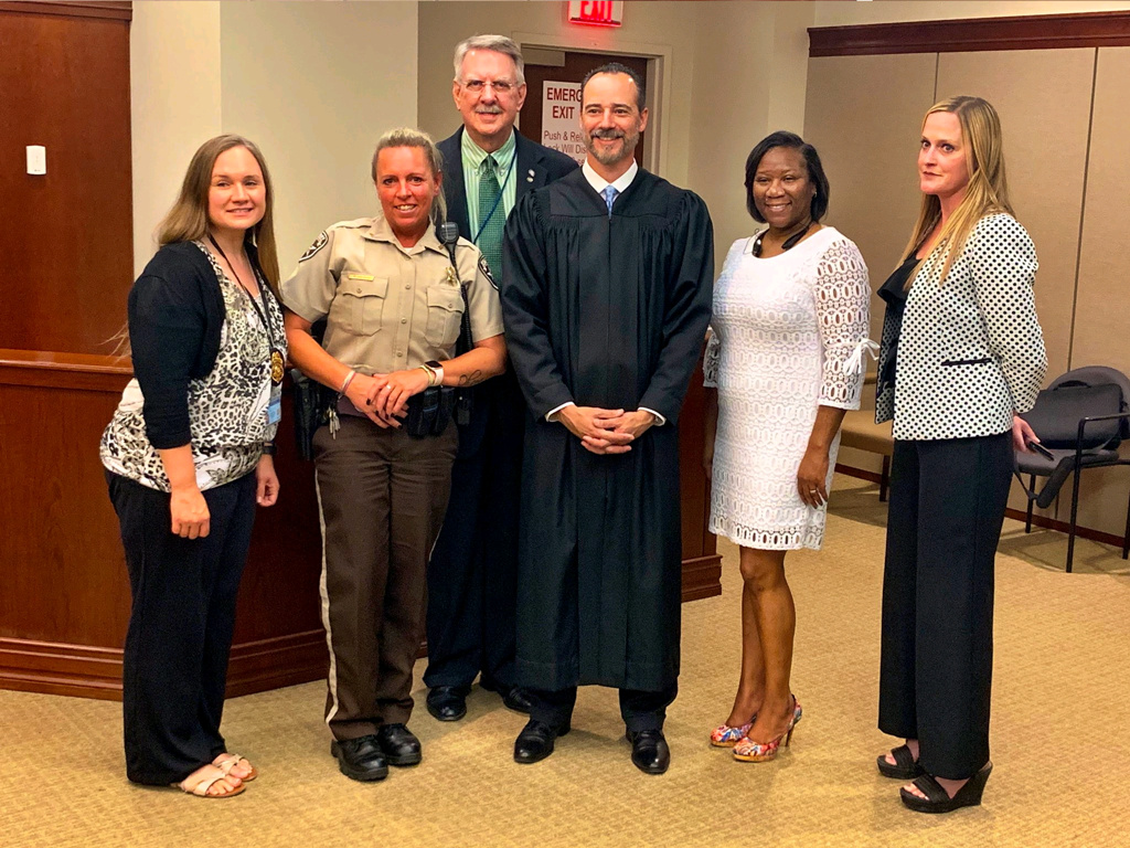 Drug court team