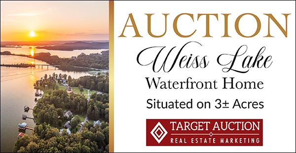 auction 600x314