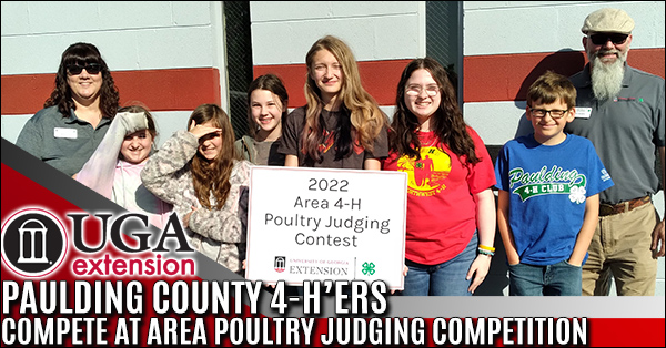 poultry 600x314 2b