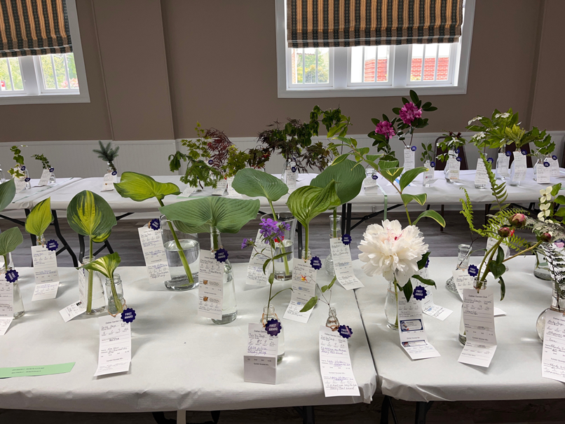 awards plants