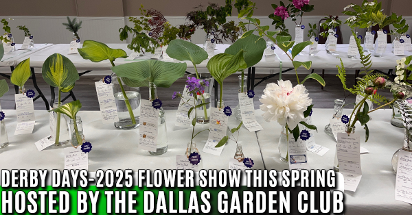 garden 600x314 2b