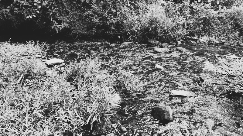 Pegamore Creek Todd Tibbitts 2 1