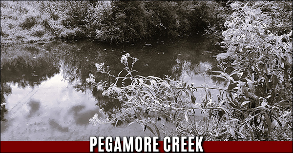 PegamoreCreek 600x314