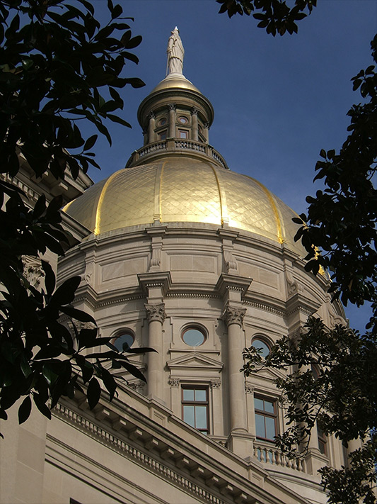 GA dome533